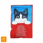 پوچ گربه طعم گوشت گاو در ژله فلیکس