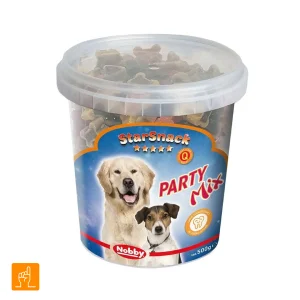 پارتی میکس