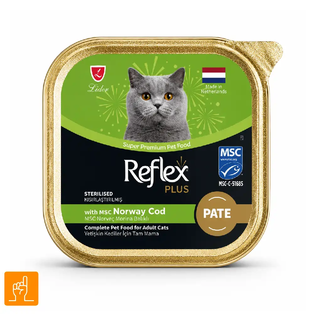 Voom Cat Reflex Plus with Cod Flavor Super Premium Wet Food ووم گربه رفلکس پلاس با طعم ماهی کاد | غذای مرطوب سوپرپریمیوم