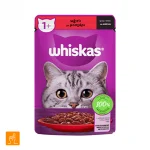 پوچ گربه گوشت گاو ویسکاس